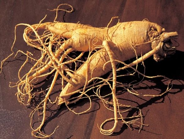 Root ginseng