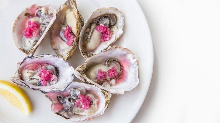 oysters to increase activity