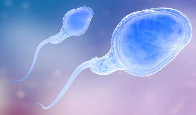 Sperm may be present in a man's preejaculate